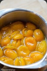 BucheYaourtKumquat-16