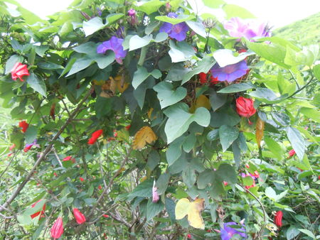 DSCN6118_833503123