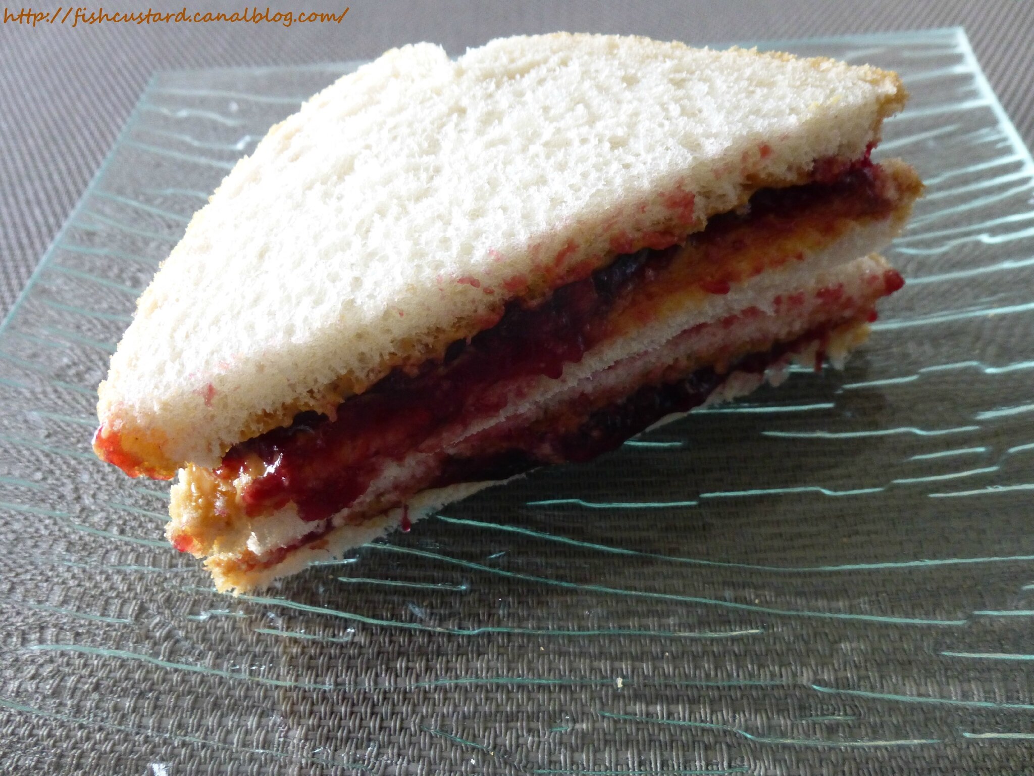 PB & J sandwich (22)