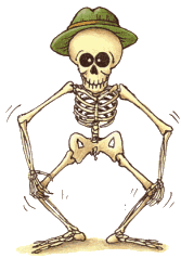 squelette animé