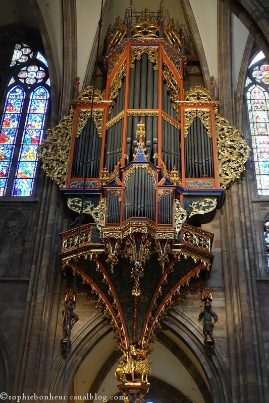 Cathédrale orgue
