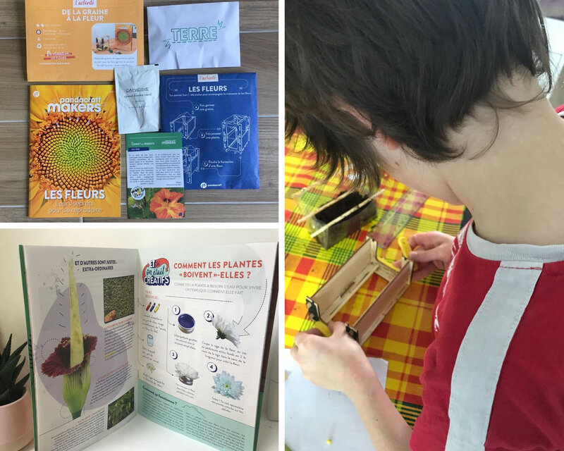 Kit Pandracraft Makers Les Fleurs ©Kid Friendly
