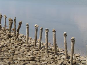 Camargue_ao_t_2009__6_