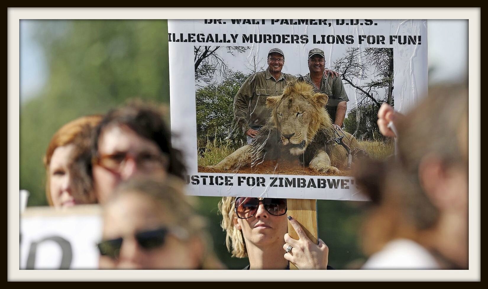 protesters-rally-outside-the-river-bluff-dental-clinic-against-the-killing-of-a-famous-lion-in-zimbabwe-in-bloomington-minnesota_5391047