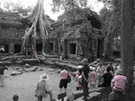 PPenh_Angkor1_120057