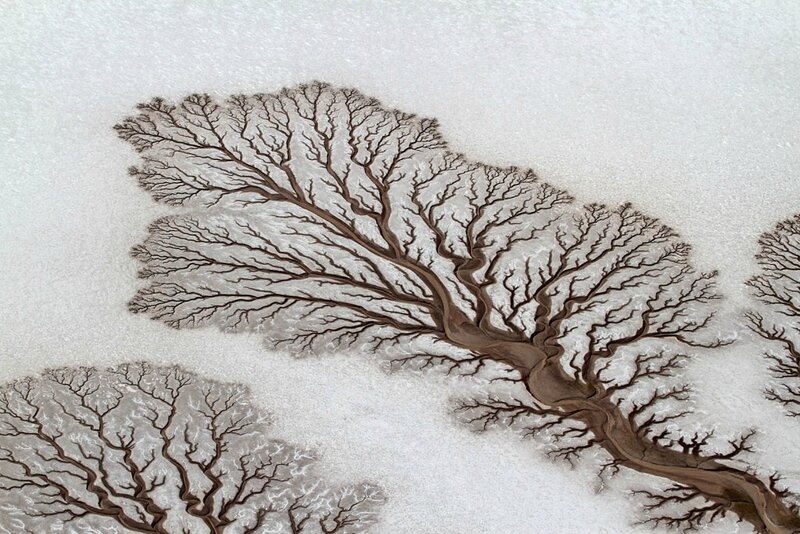 04-tree-like-rivers