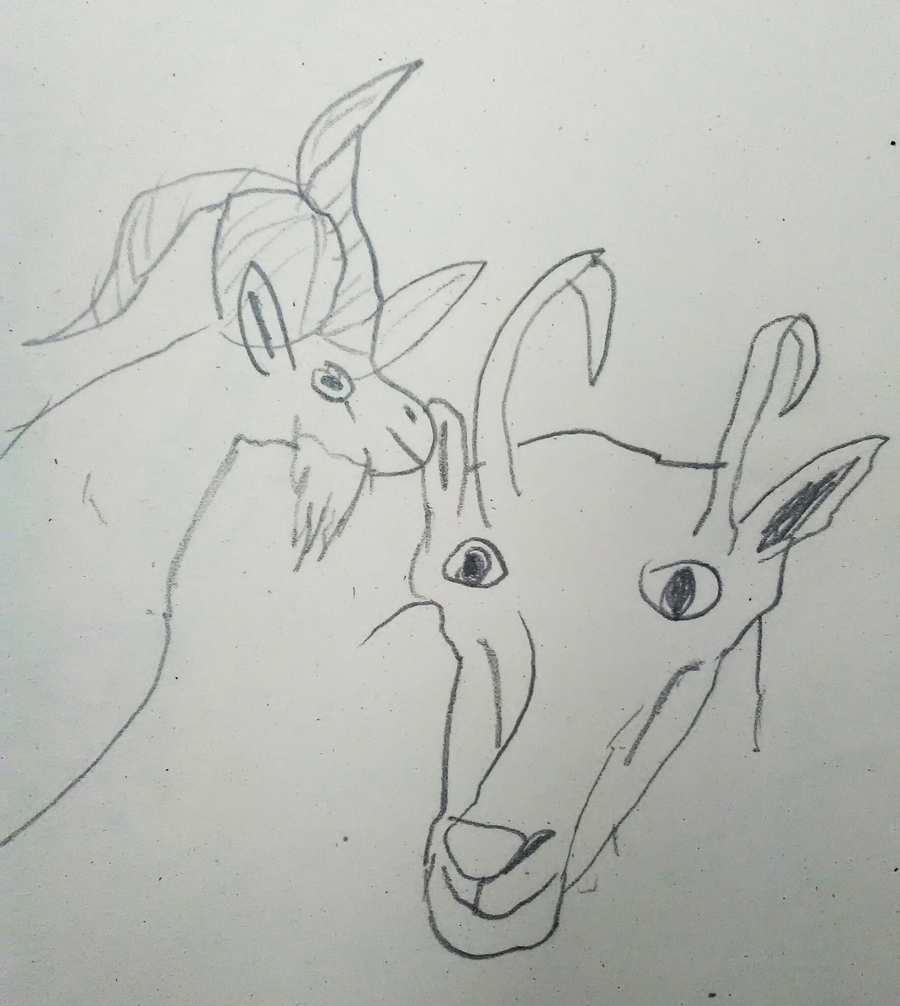 fermeK1
