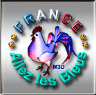 018-gif-mondial-football-2014-logo-france-allez-les-bleus-coq