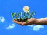 PushingDaisies