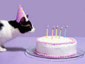 gateau_anniversaire_3