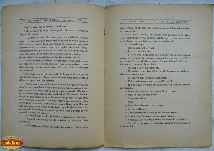 La perruque de RIQUET à la houppe (4)