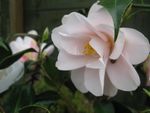 mars_2010_07