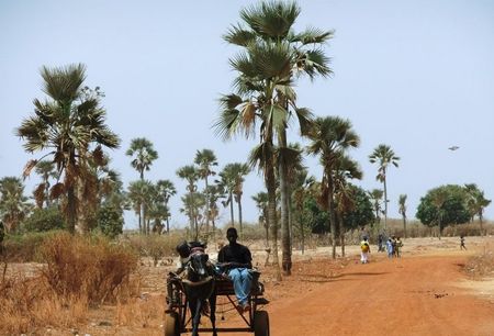 Senegal2_seckasysteme