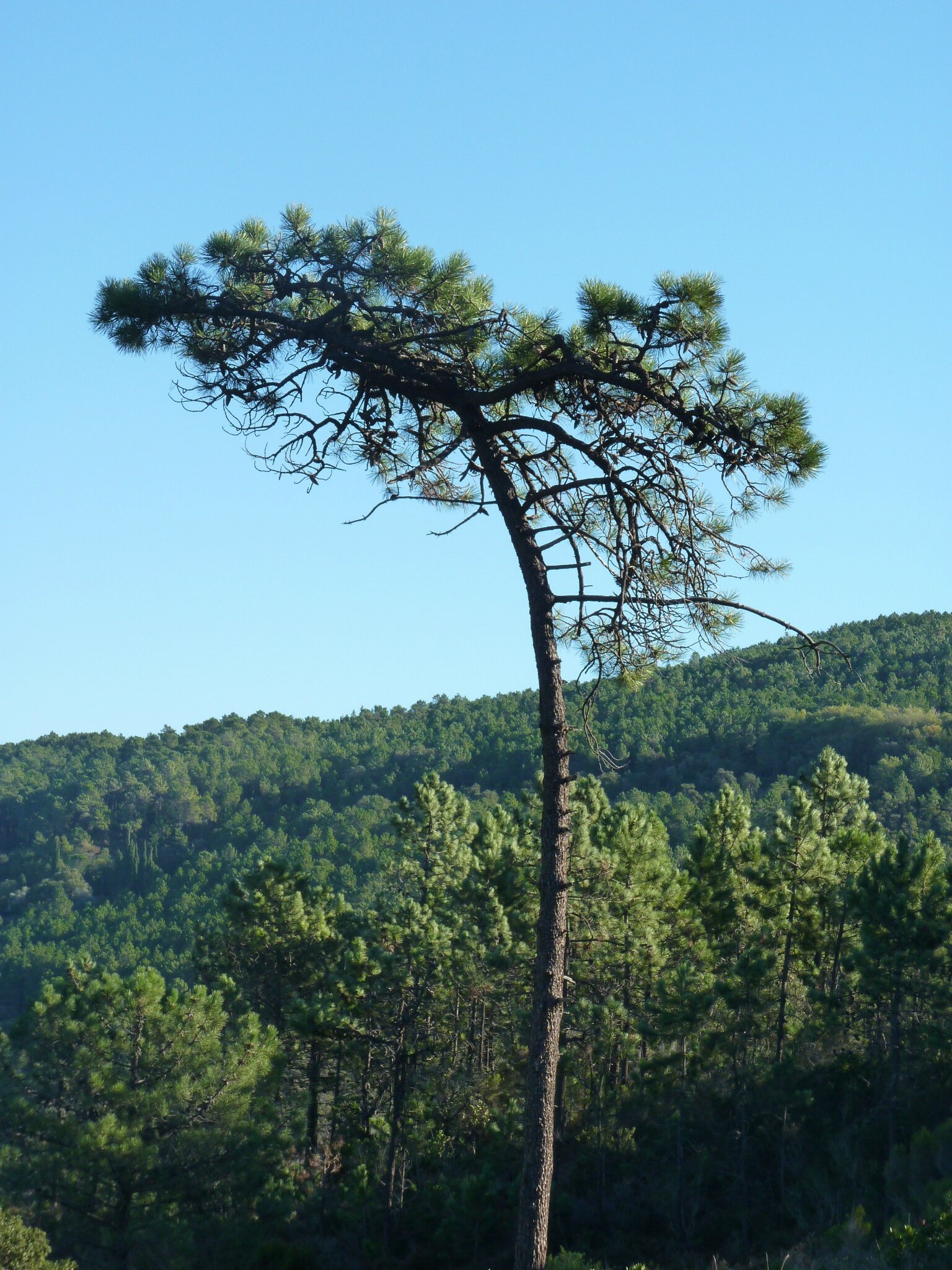 P1110082