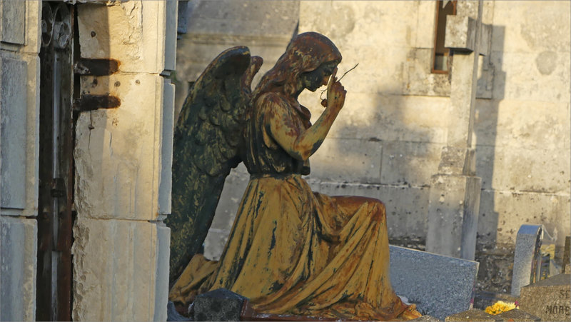 Niort cimetière Cadet 011122 ym 6 ange