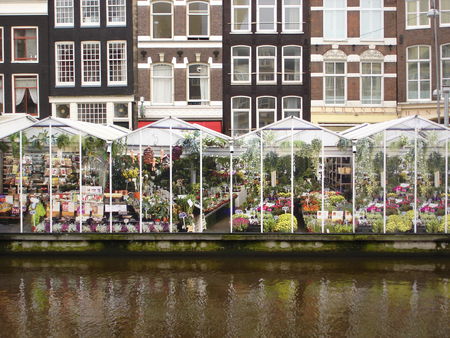 March__aux_fleurs_Amsterdam