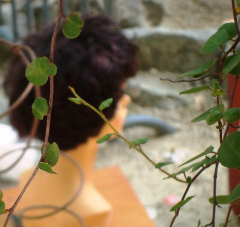 Tête de mannequin