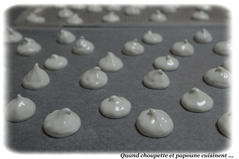 meringues maison-8564