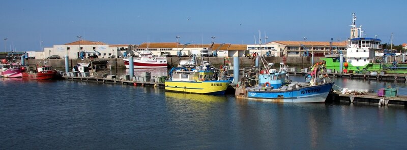 Le port de La Cotinière