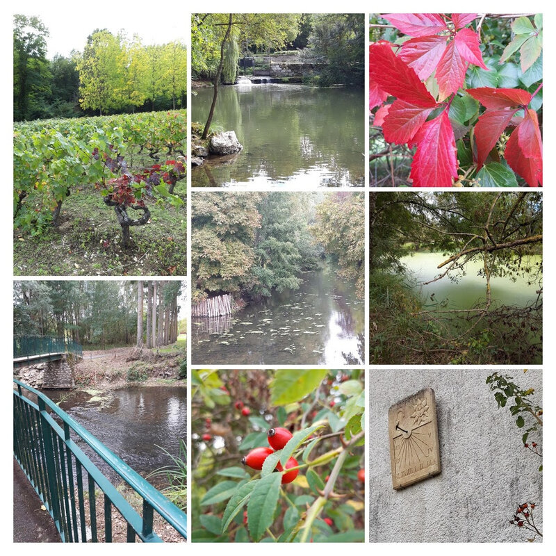 Promenade bord du Cosson