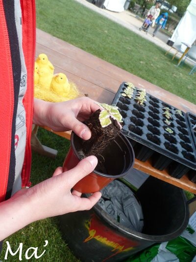 140419_Vce_fete_printps7