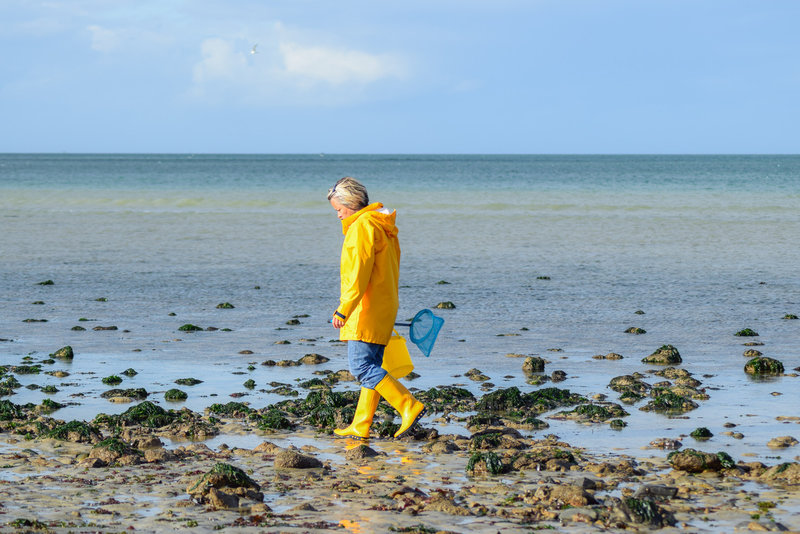 Pêche-à-pied-en-Bretagne-Nord