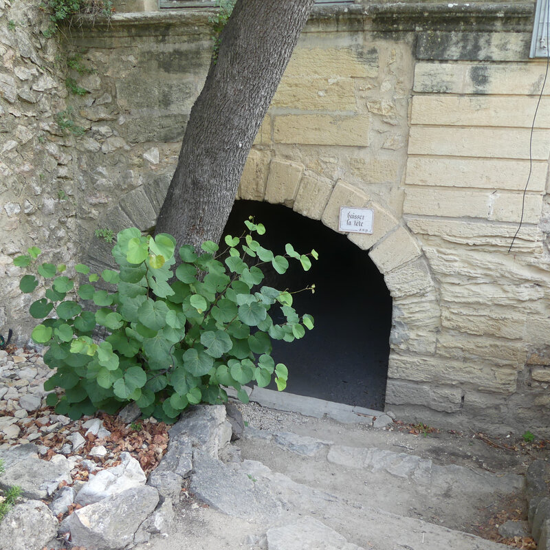 P1130652