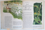LES-PAPILLONS-4-grand-livre-d'or-muluBrok