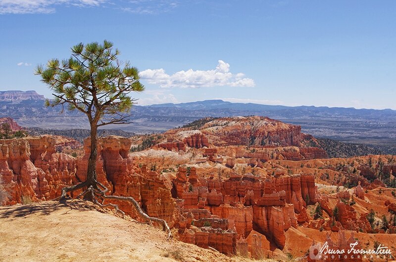 Bryce Canyon 3