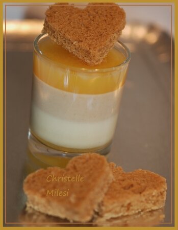 panna_cotta_orange_et_pain_d_epices