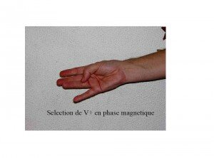 main-odf-exemple-selection2-300x222