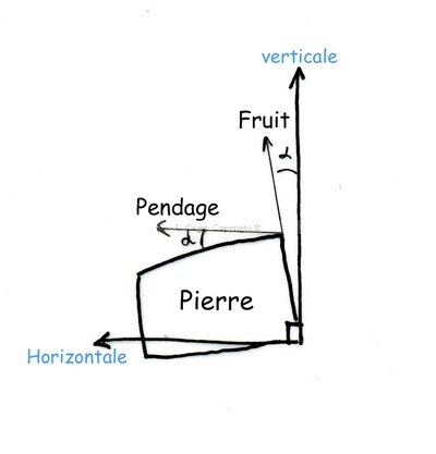 croquis 118©