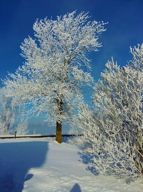 20170107_102539