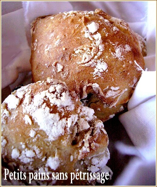 Petits pains sans pétrissage
