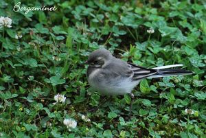 waiting_canalblog_2010_06_DSC_0208