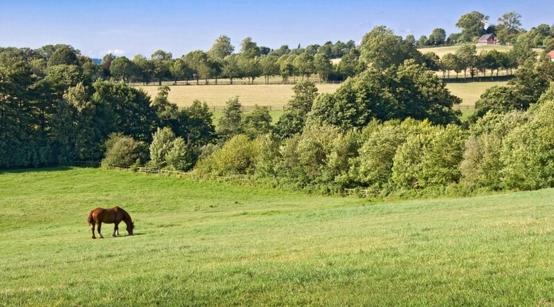paysage-orne-1038x576