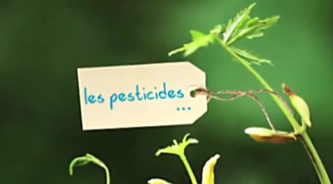Les-pesticides