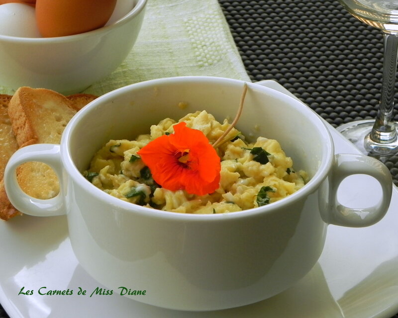 OEUFS_CAPUCINES_2