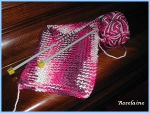 Roselaine034