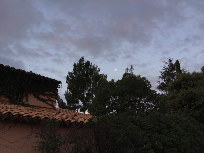 BE1F6632-BDBE-4ED7-914E-865F59784DF3