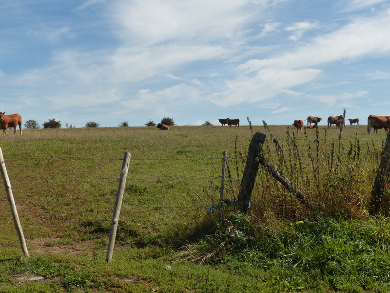 P1280565