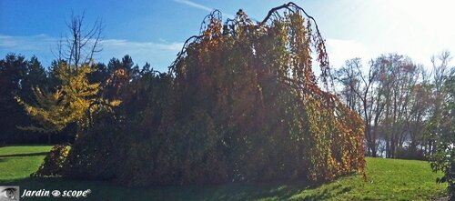 Parc Henri Coullaud