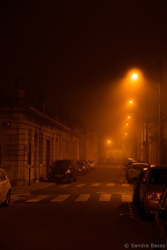 Brouillard_7