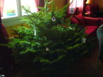 sapin_de_noel_1