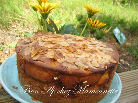 Gâteau aux fruits variés et à la crème 007