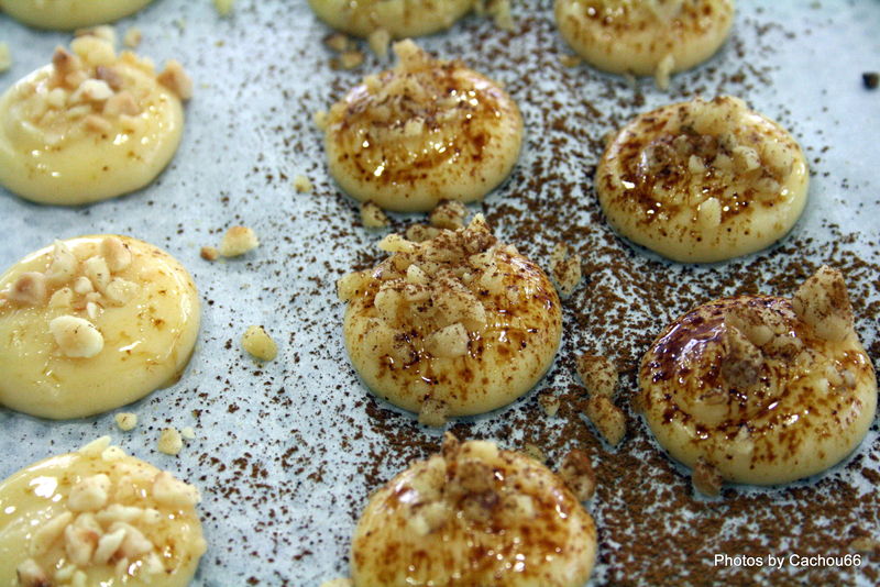 Les petits fours frais 09-05-09 (17)