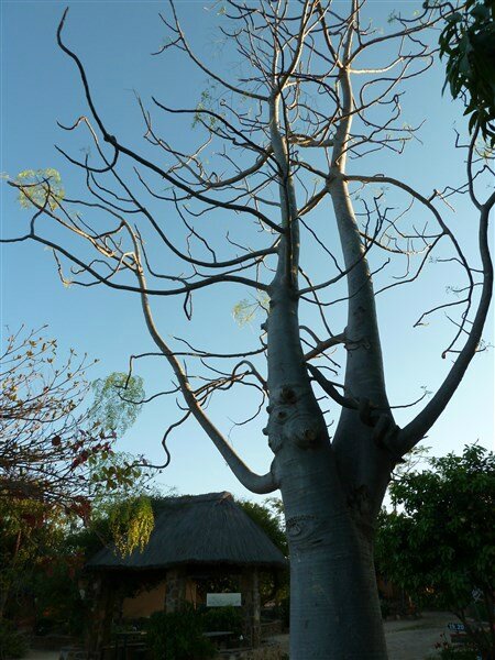 P1050037