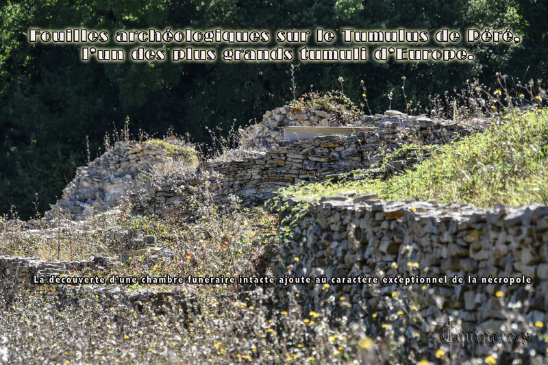 Tumulus du Péré Fouilles archéologiques La découverte d'une chambre funéraire intacte ajoute au caractère exceptionnel de la nécropole