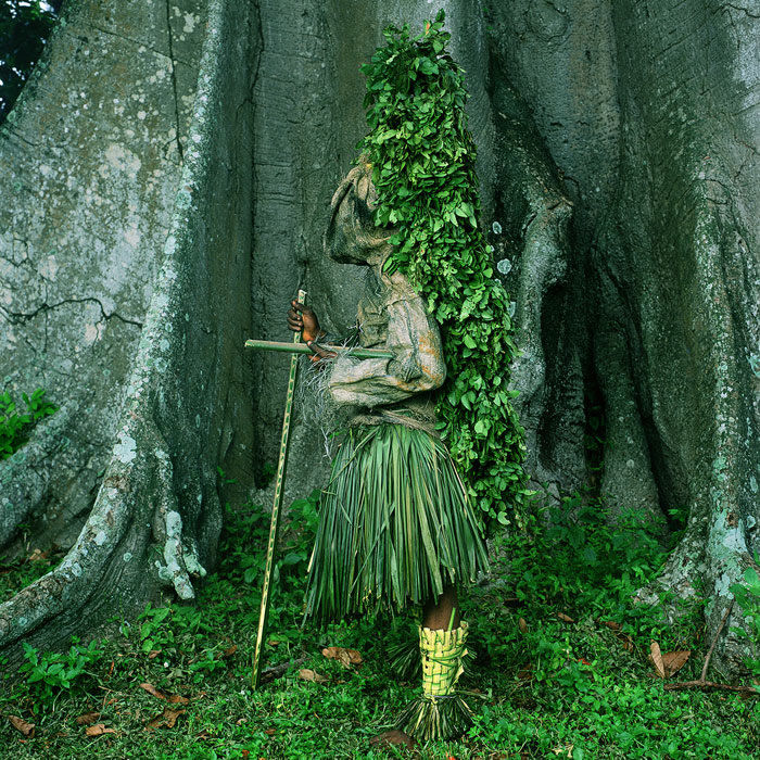 arbre