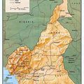 Cameroun: Carte et Drapeau